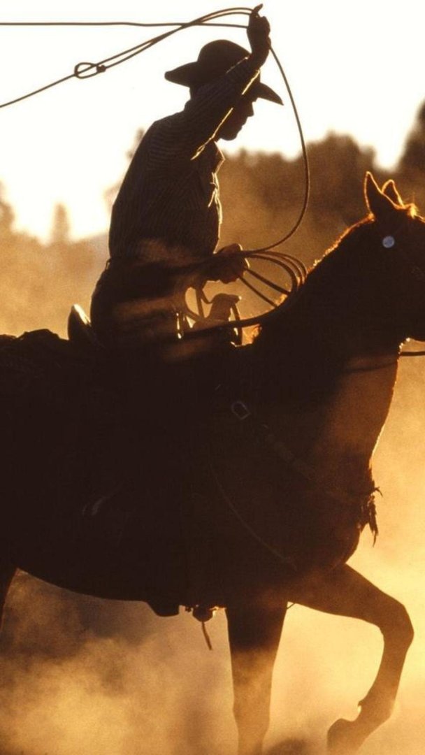 Cowboy iPhone Pictures.jpg