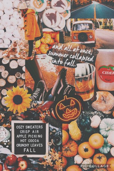 Fall Aesthetic iPhone