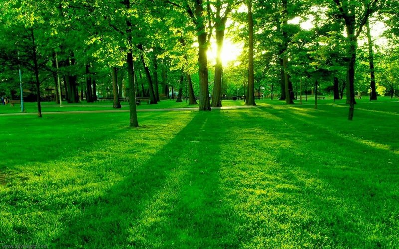 Green Desktop