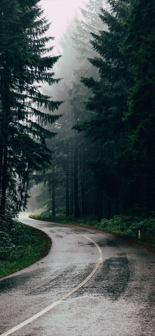 iPhone Rain Images.jpg