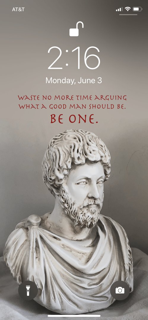 Marcus Aurelius Phone Pictures.png
