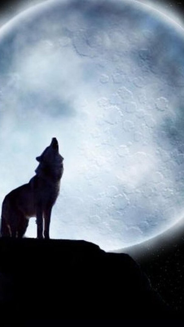 Wolf iPhone Images.jpg