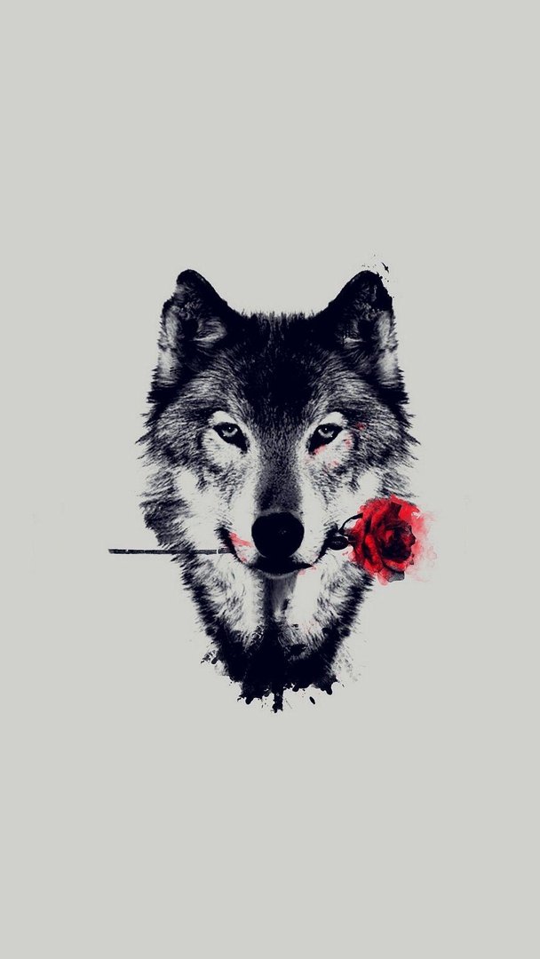 Wolf iPhone Wallpaper.jpg