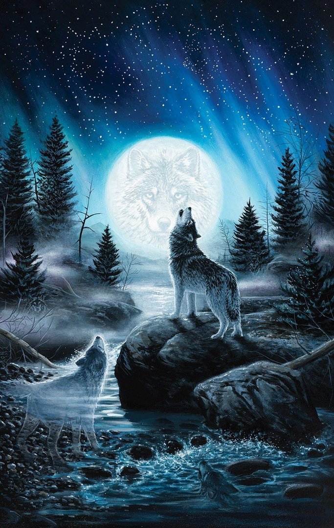 Wolf iPhone Pictures.jpg