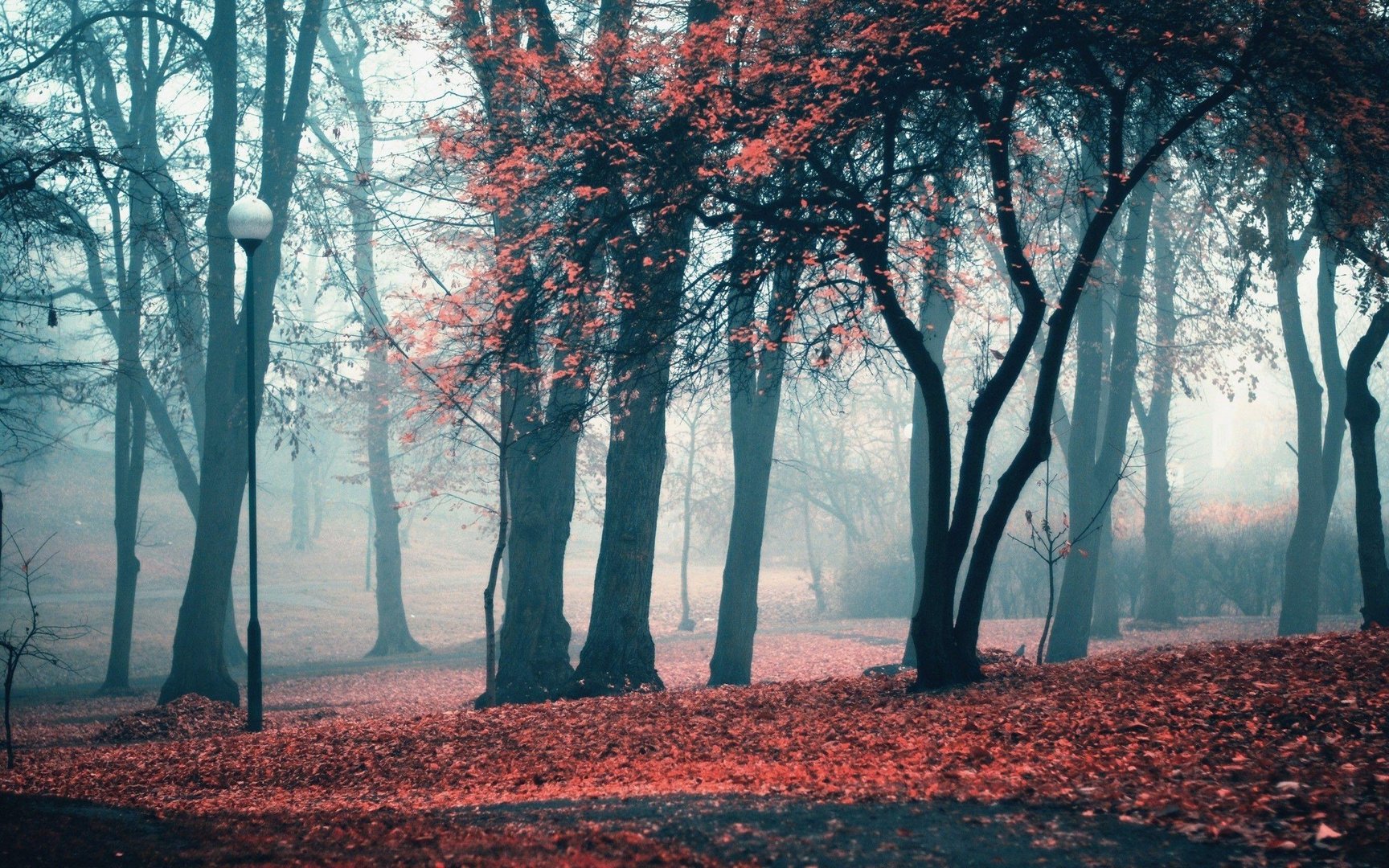 Fall Aesthetic Desktop Image.jpg