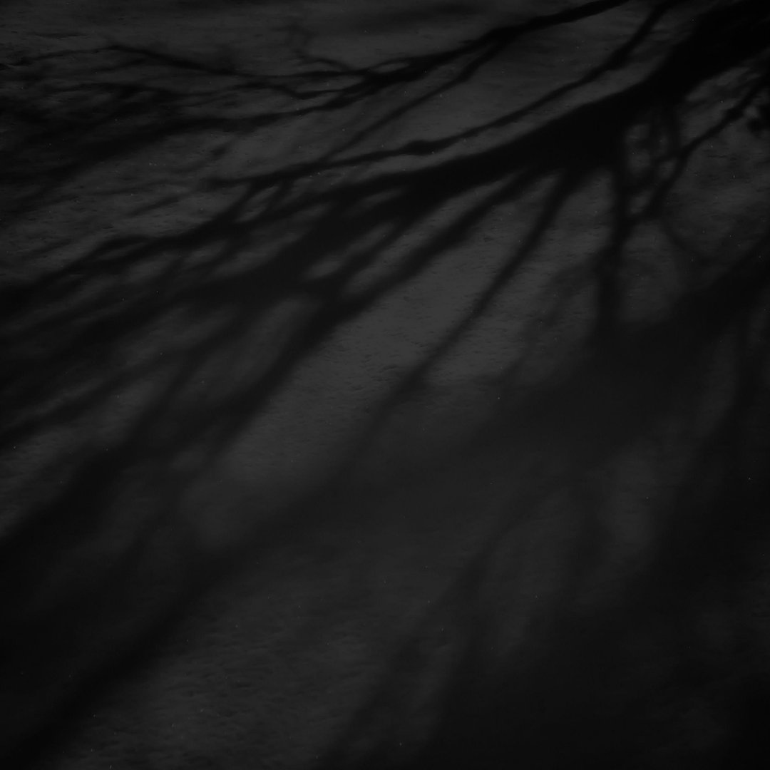 Dark iPad Images.jpg
