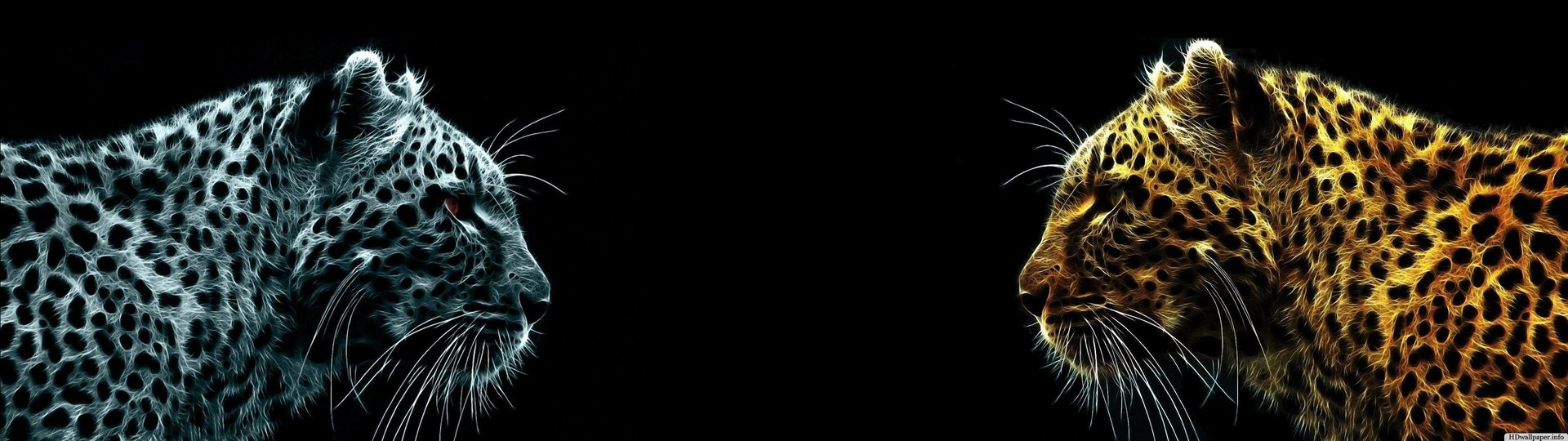 3840X1080 HD Dual Monitor Image.jpg