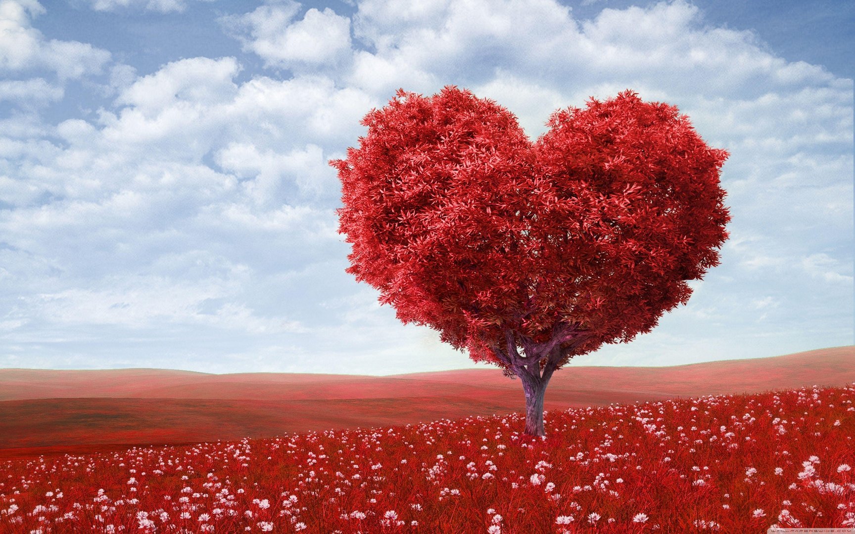 Valentine's Desktop Image.jpg