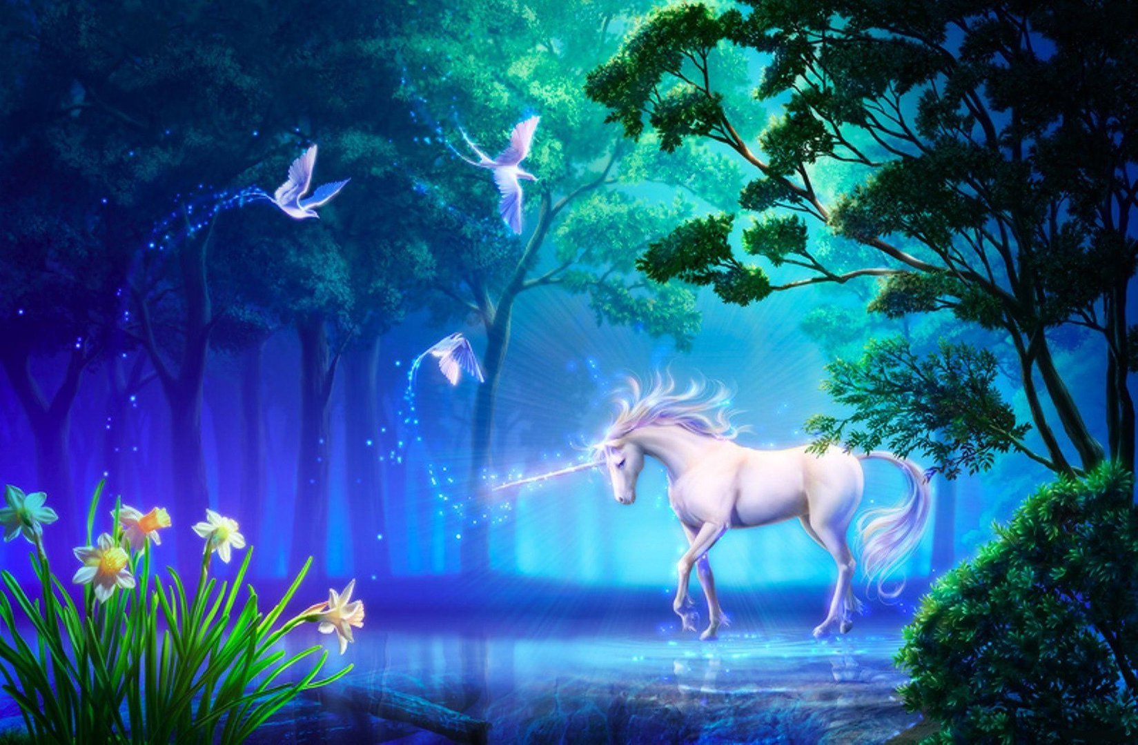 Pretty Unicorn Images.jpg