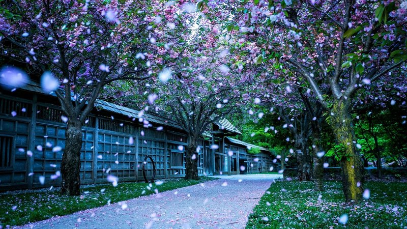 Spring