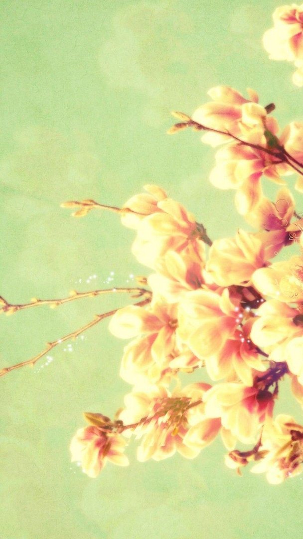Spring Phone Image.jpg