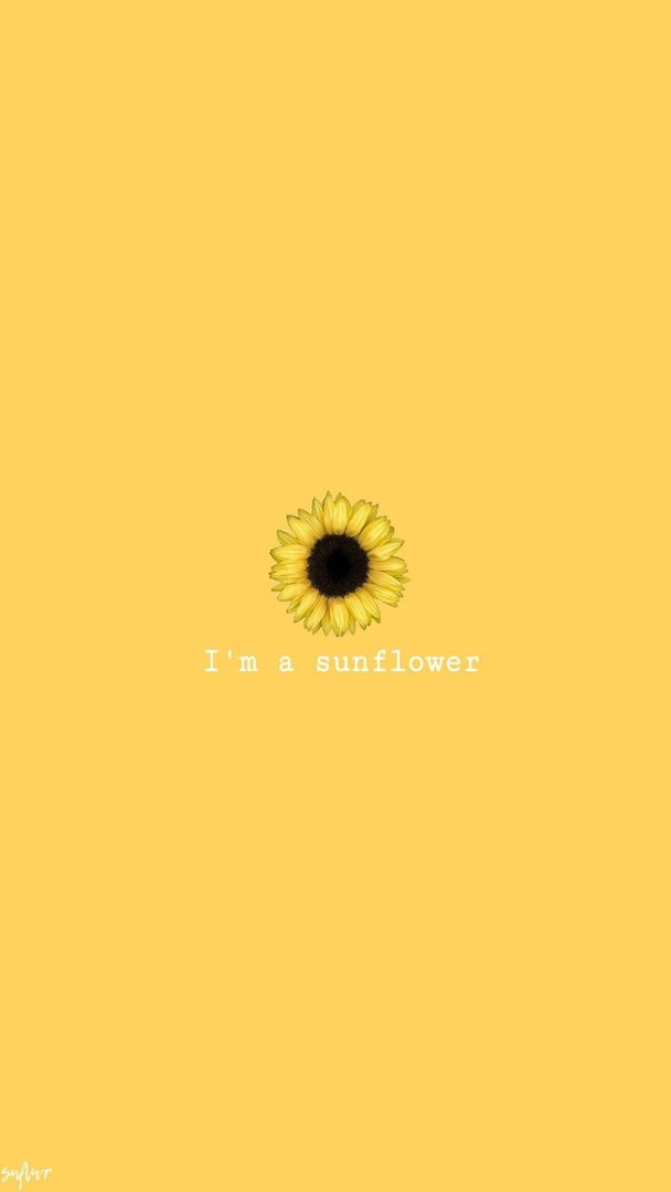 Cute Sunflower Images.jpg