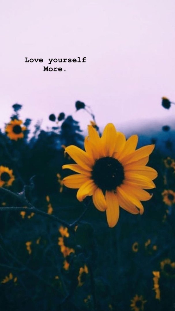 Cute Sunflower Image.png