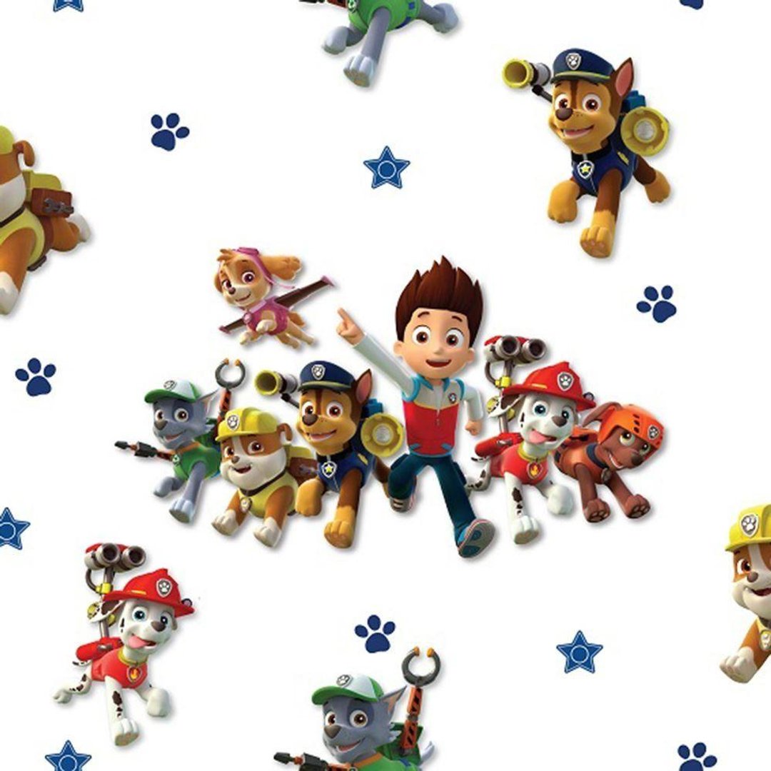 Paw Patrol wallpaper.jpg