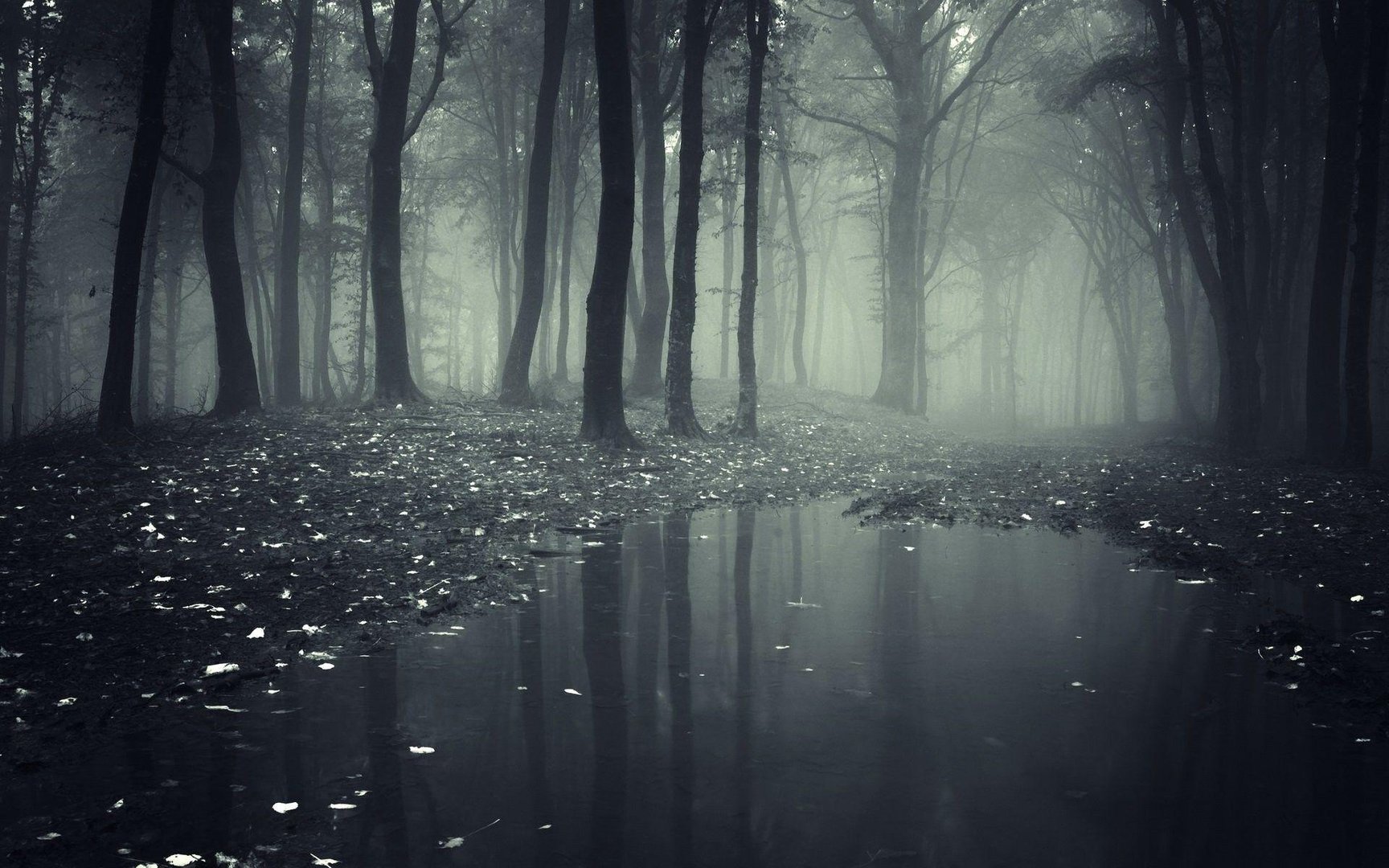 Spooky wallpapers.jpg