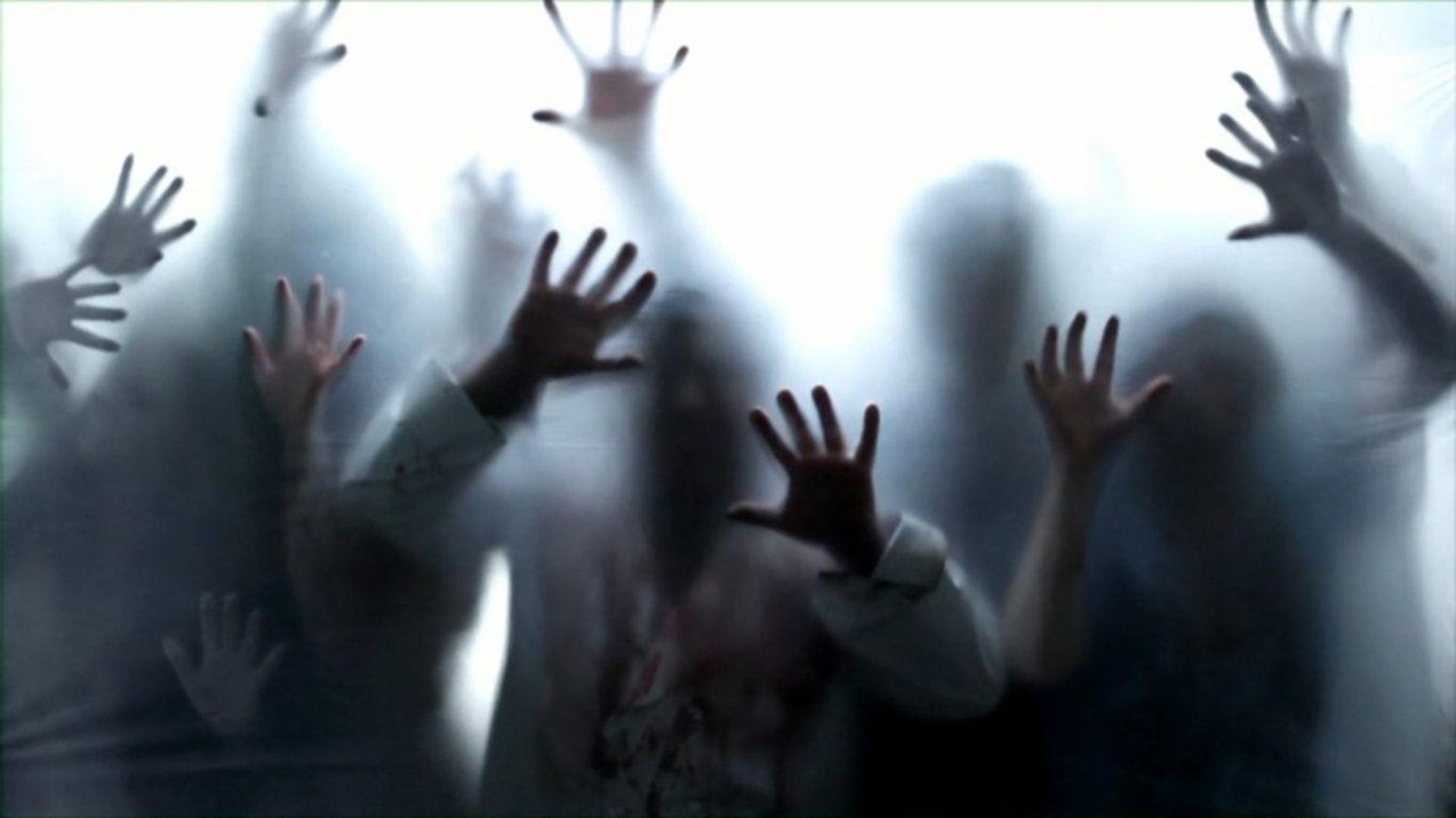 Zombie Pictures.jpg