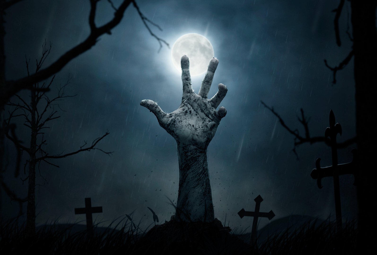 Zombie Wallpapers.jpg