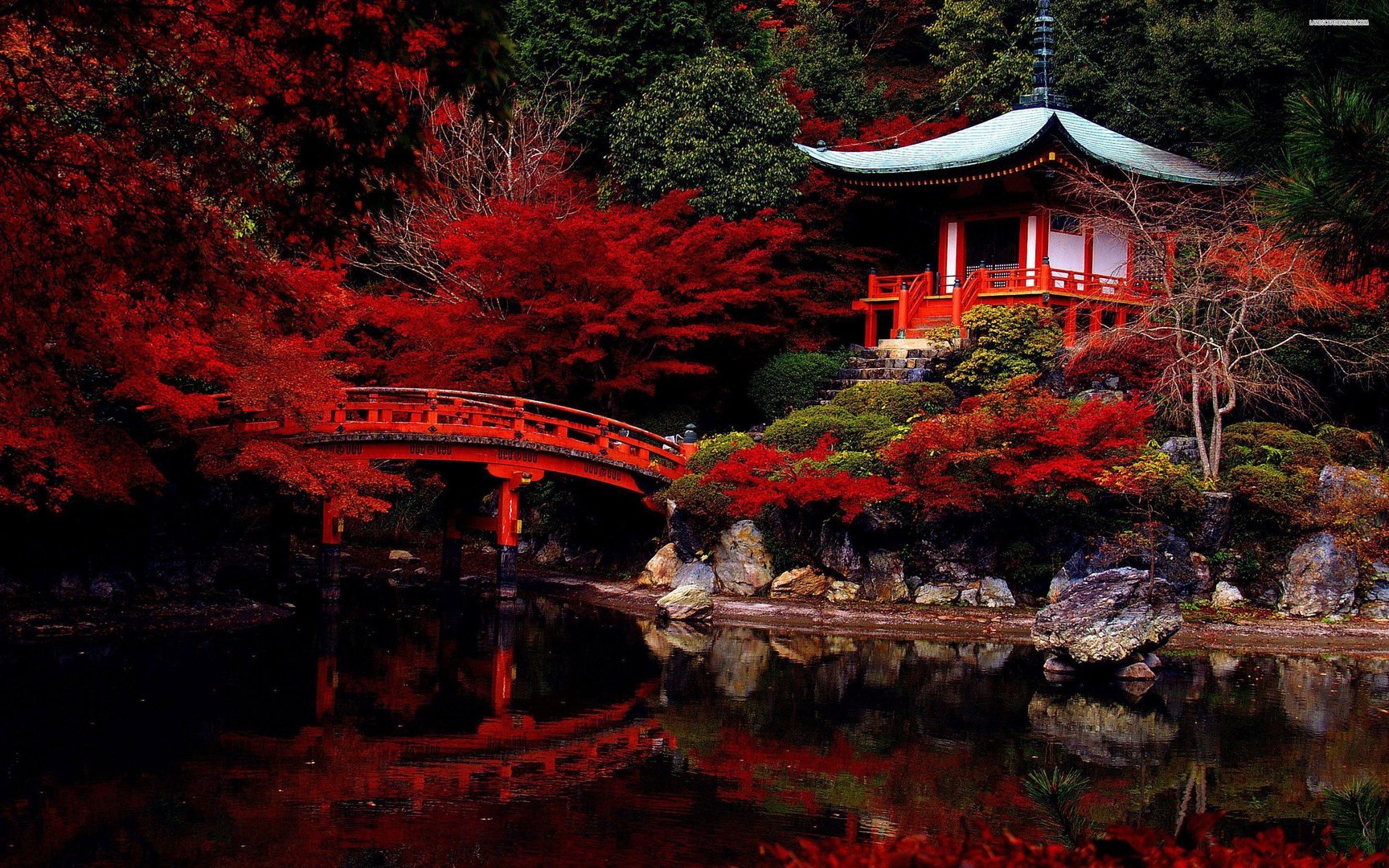 Japan 4K Pictures.jpg