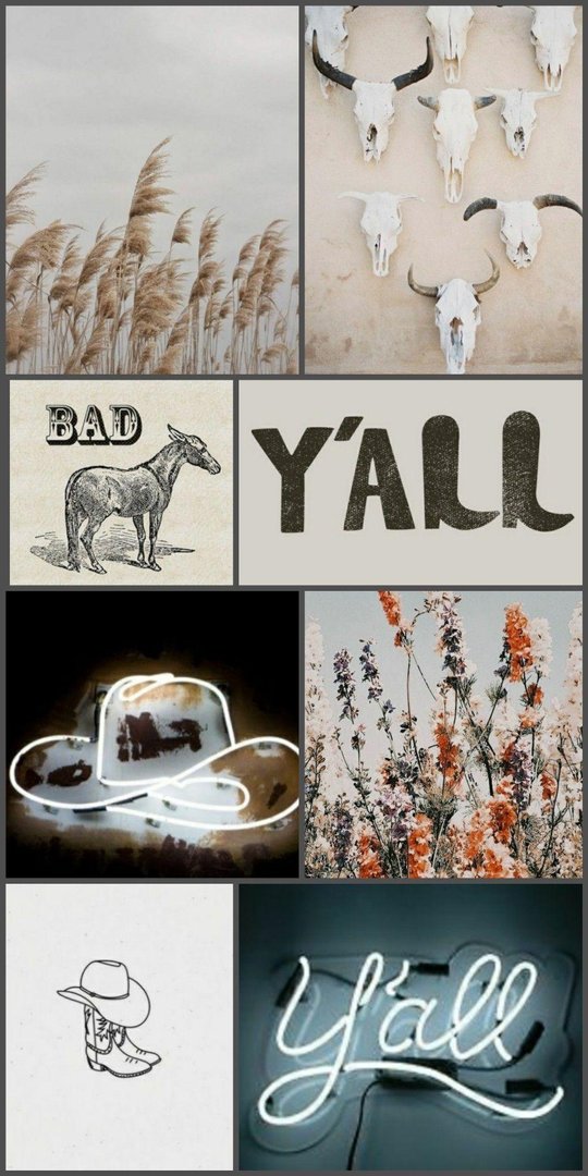 Western Asthetic Background.jpg