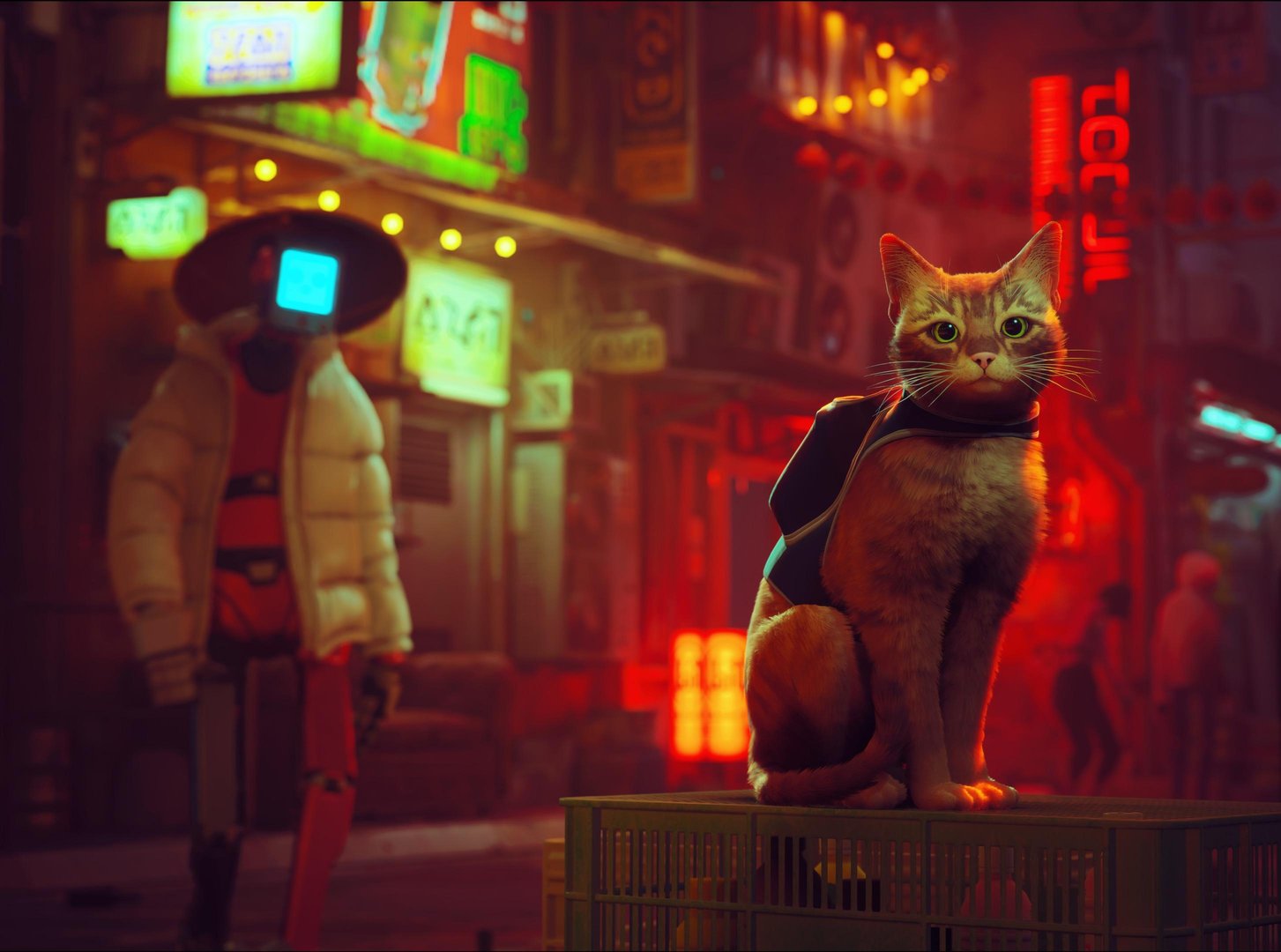 Stray Game Wallpapers.jpg