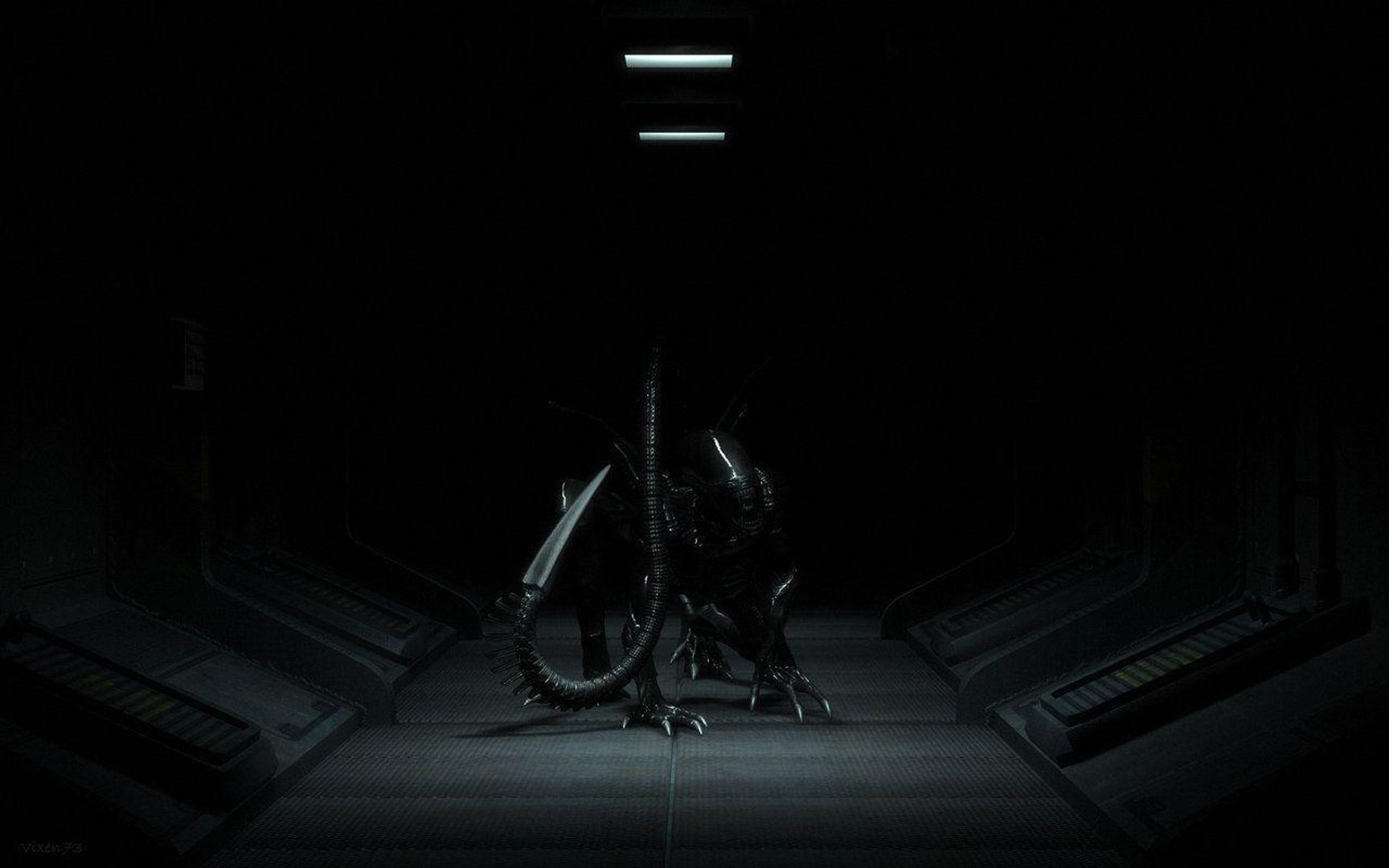 Xenomorph Wallpapers.jpg