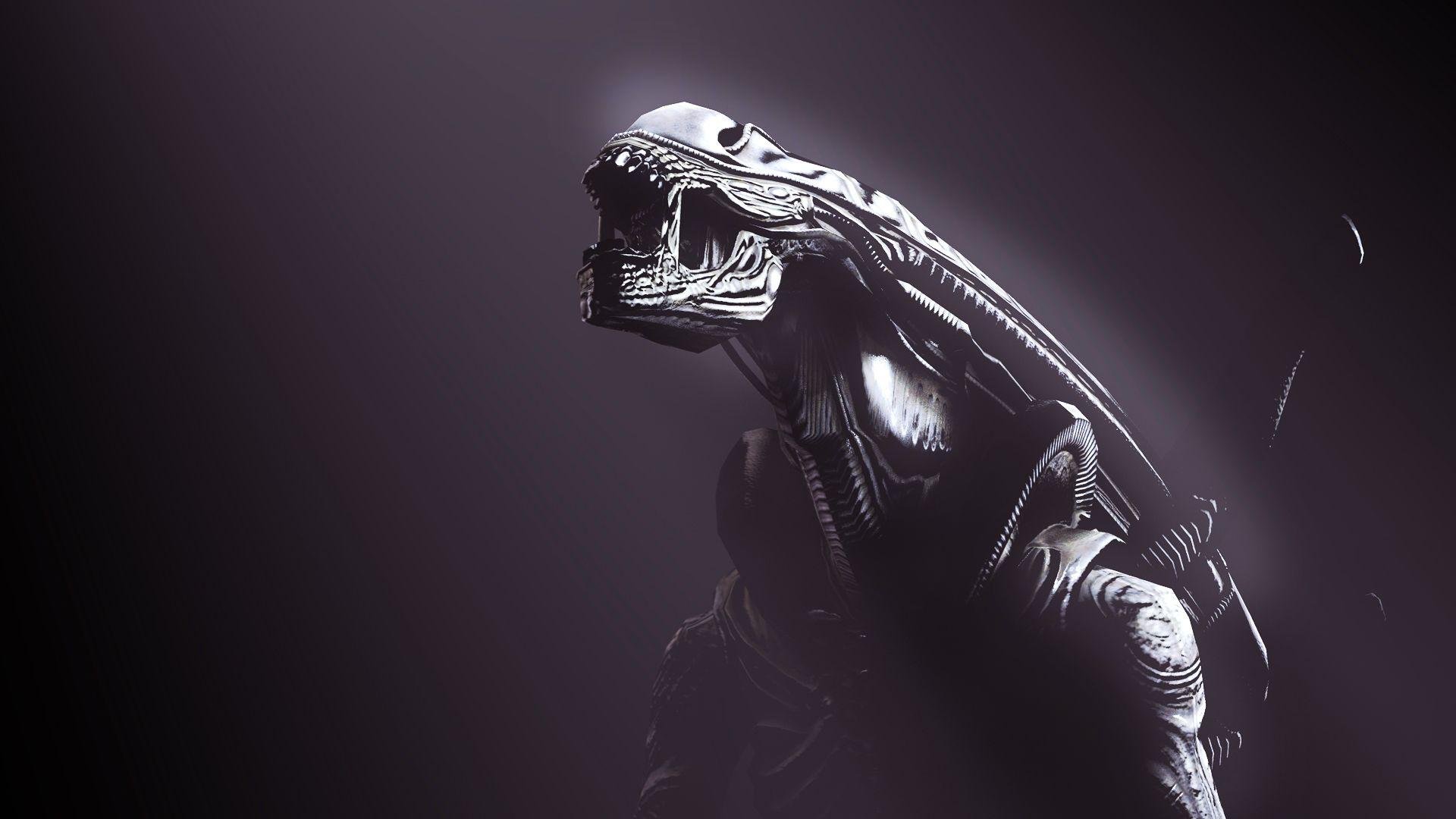 Xenomorph Pictures.jpg