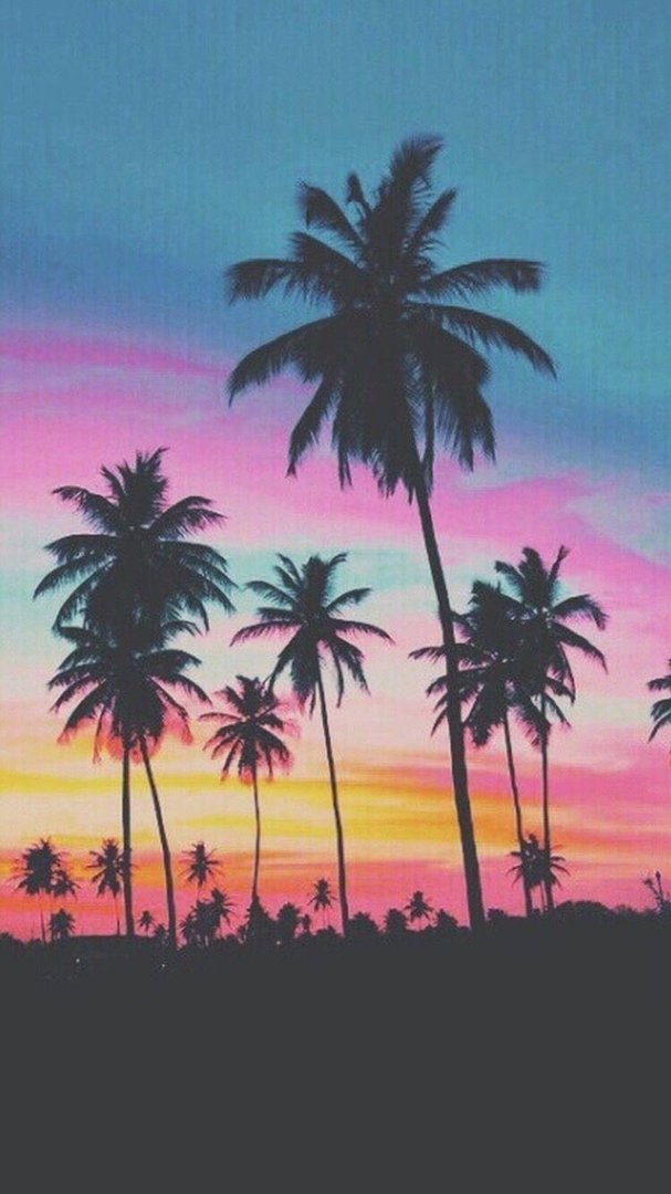 Palm Tree iPhone Pictures.jpg