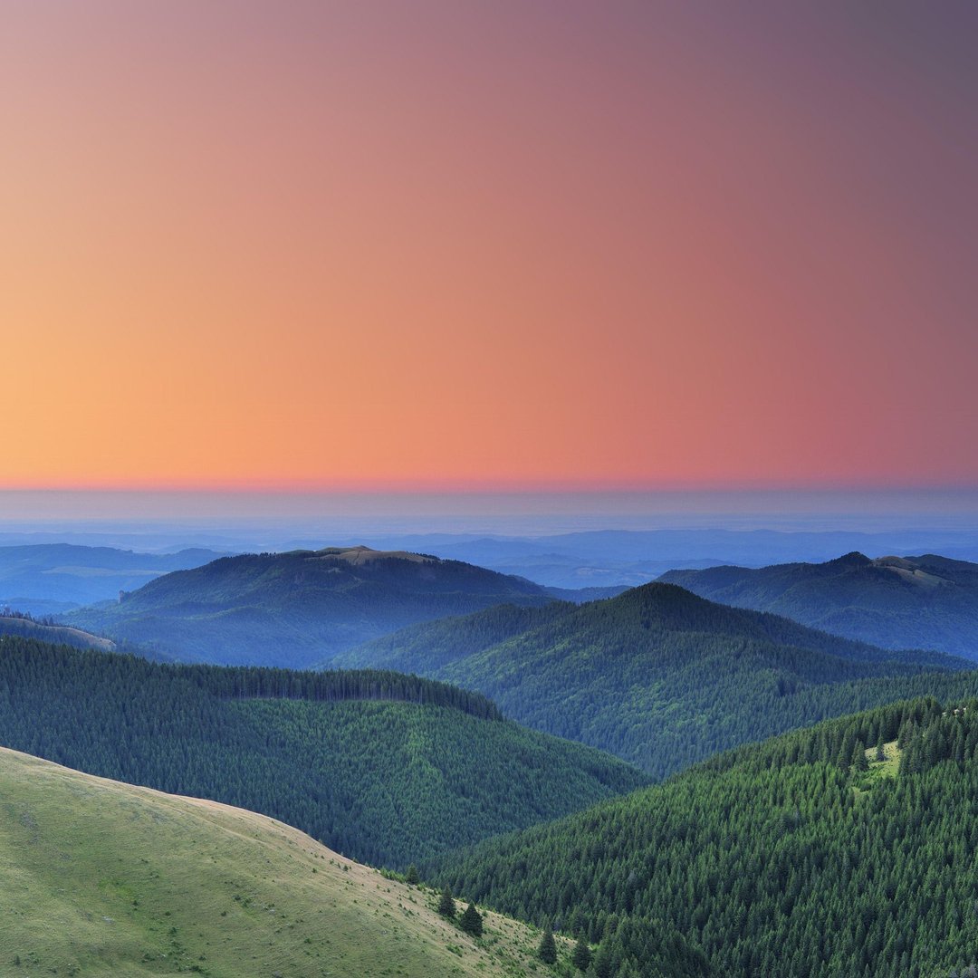 Nature iPad Images.jpg