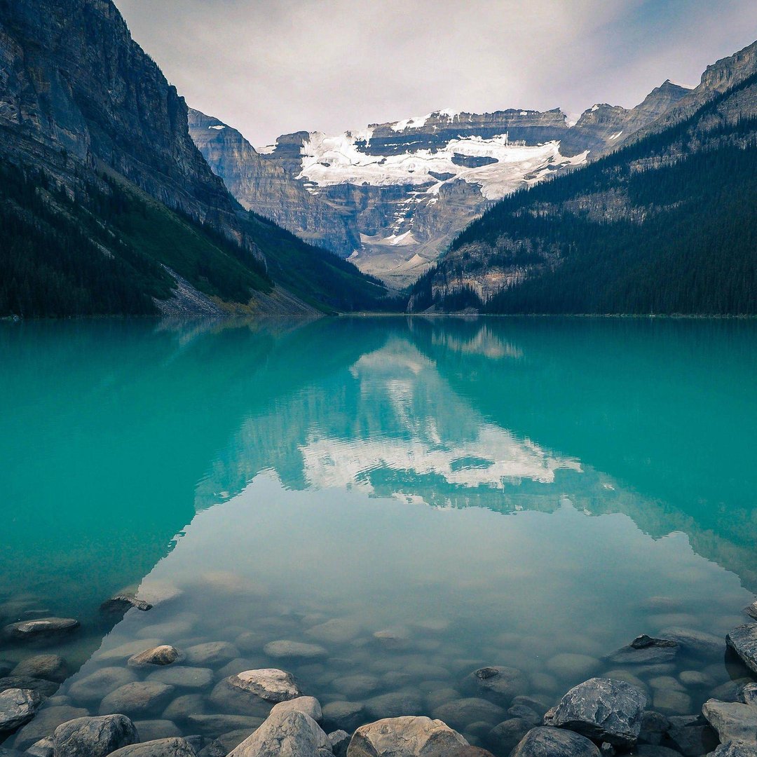 Nature iPad Pictures.jpg