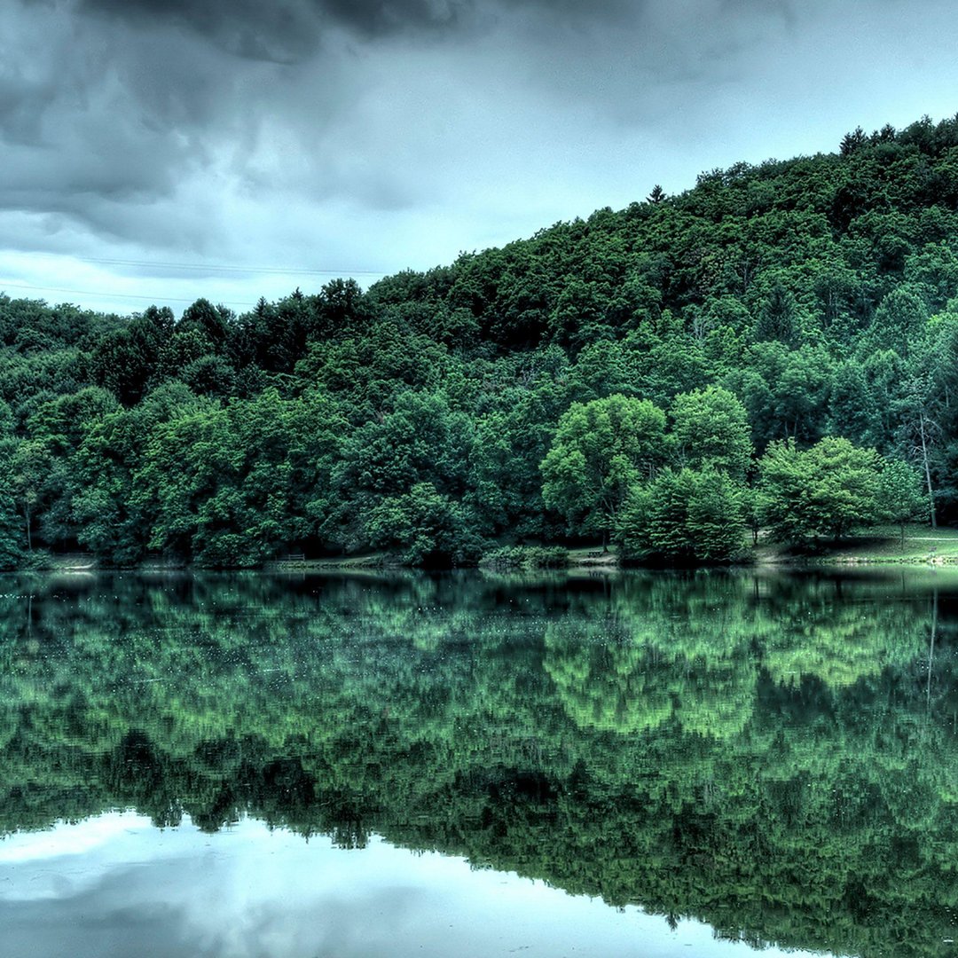Nature iPad Wallpaper.jpg