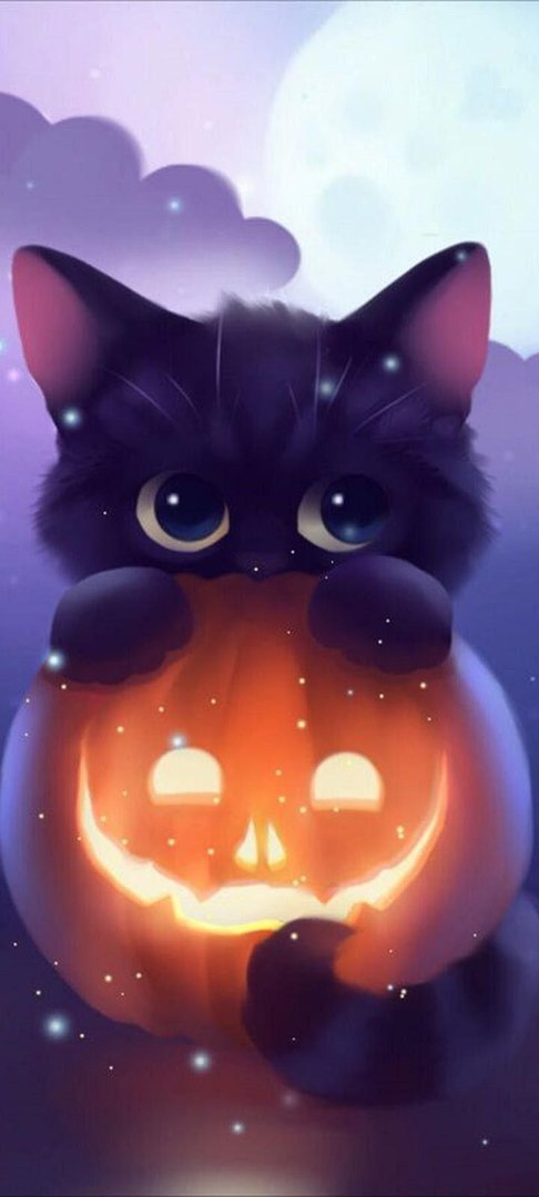 Halloween Cat Images.jpg
