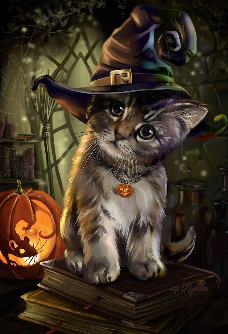 Halloween Cat Pictures.jpg