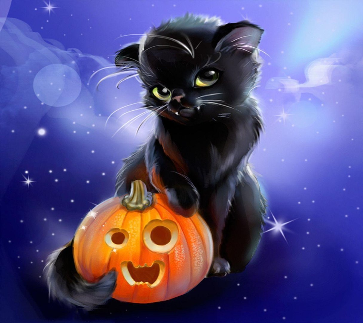 Halloween Cat Wallpaper.jpg