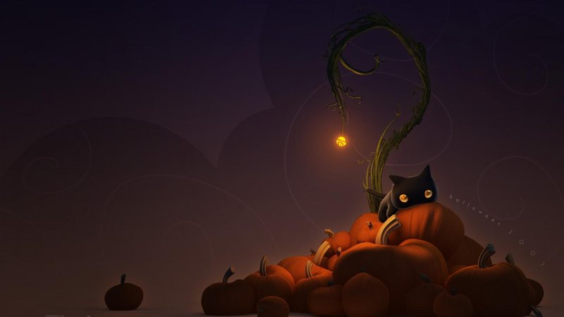 Halloween Cat