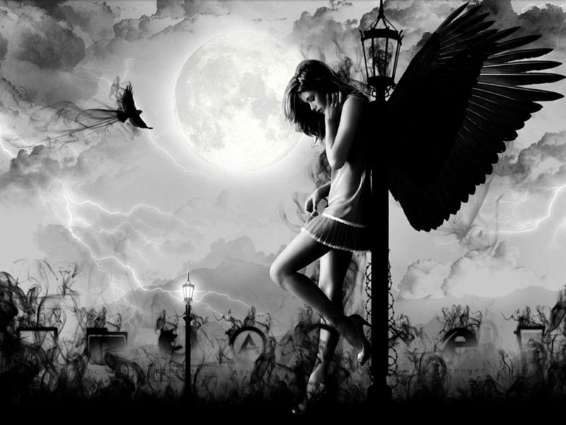 Fallen Angel