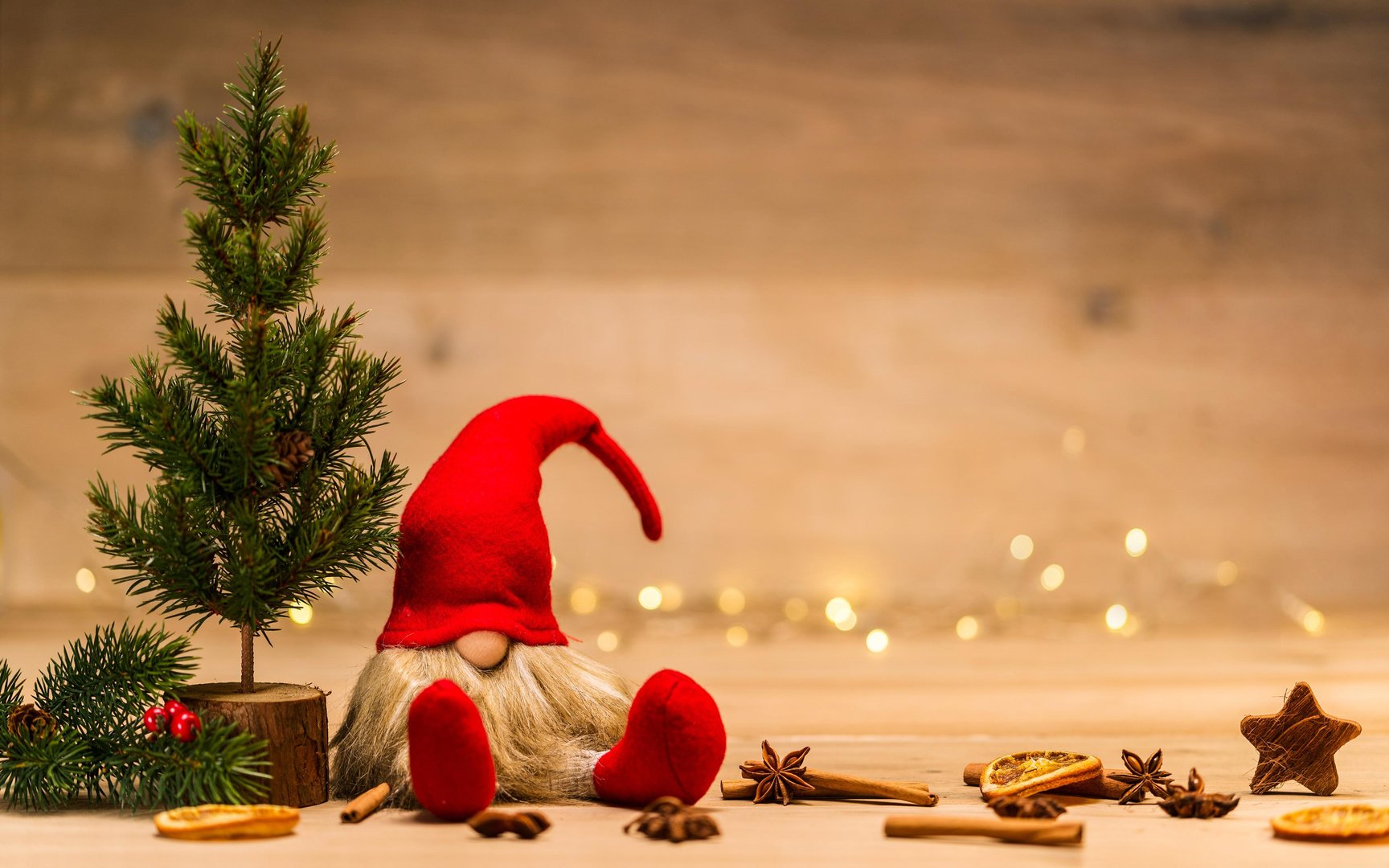 Christmas Gnome Images.jpg