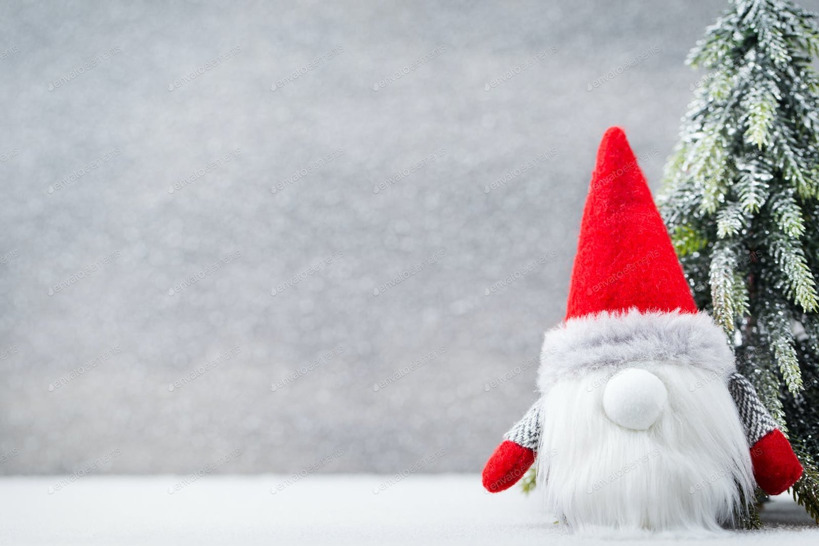 Christmas Gnome Pictures.jpg
