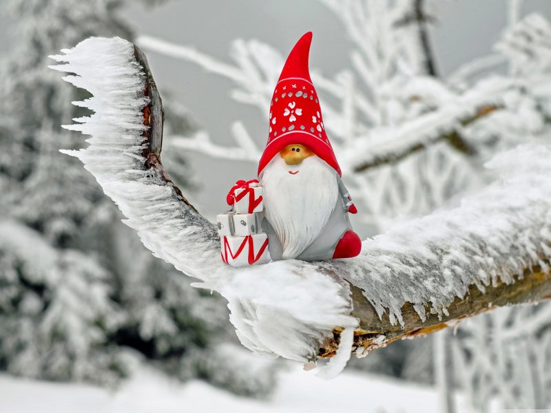 Christmas Gnome