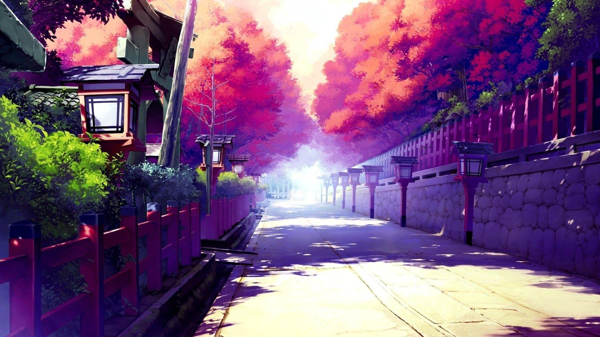 Anime Street Pictures.jpg