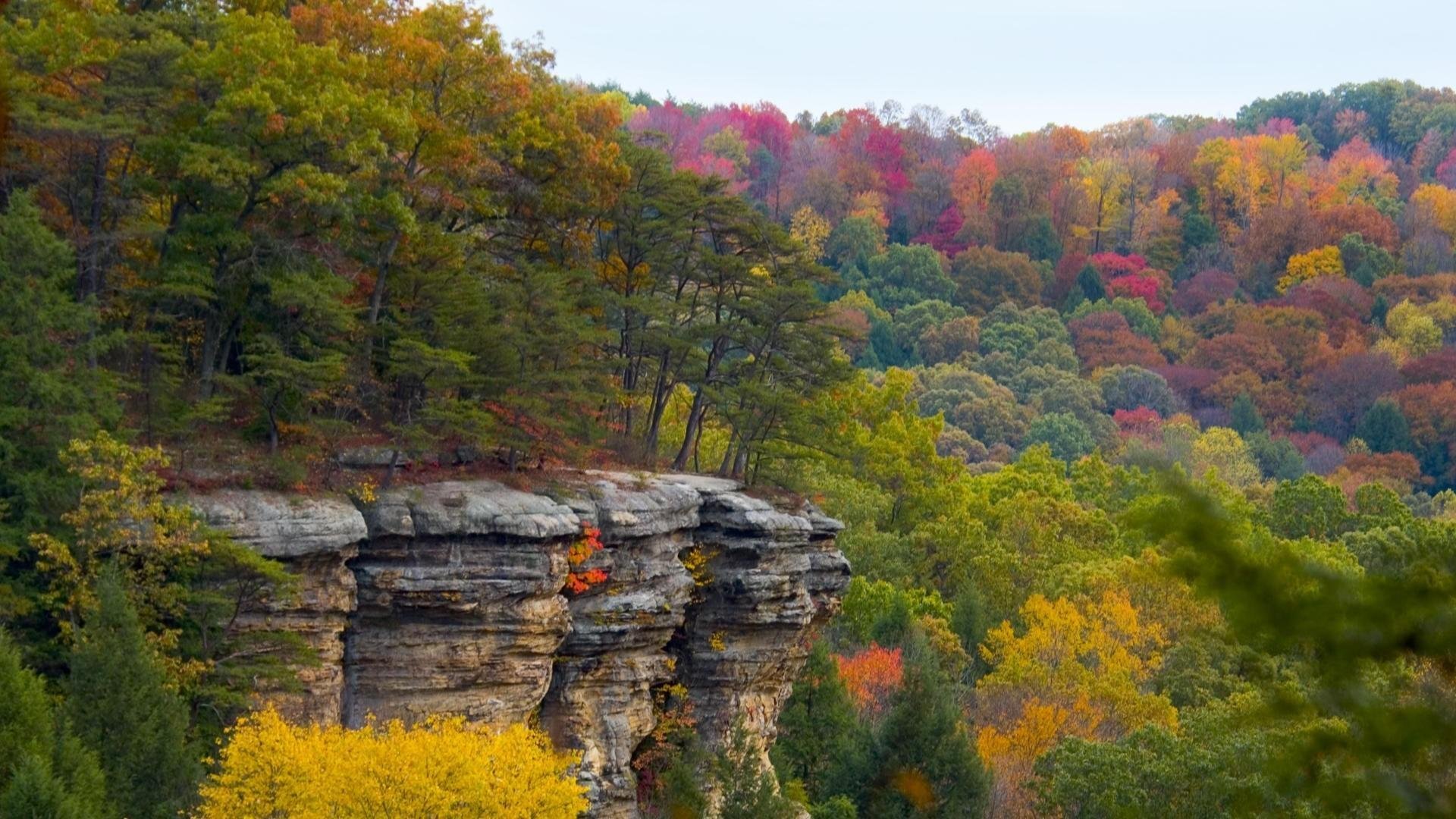 Ohio Wallpaper.jpg