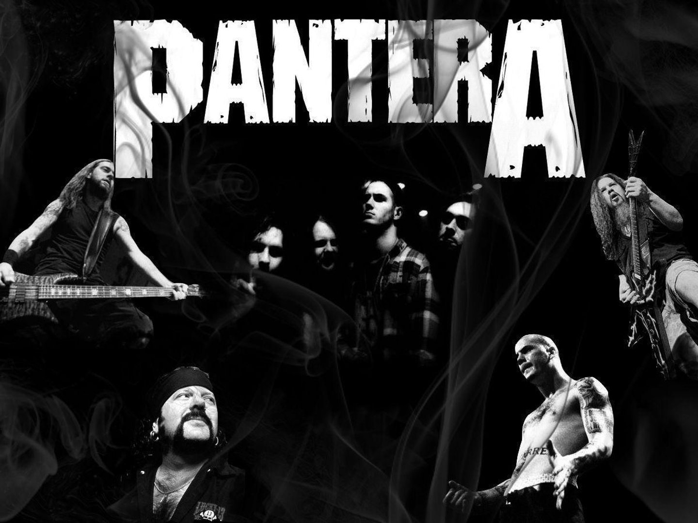 Pantera Wallpapers.jpg