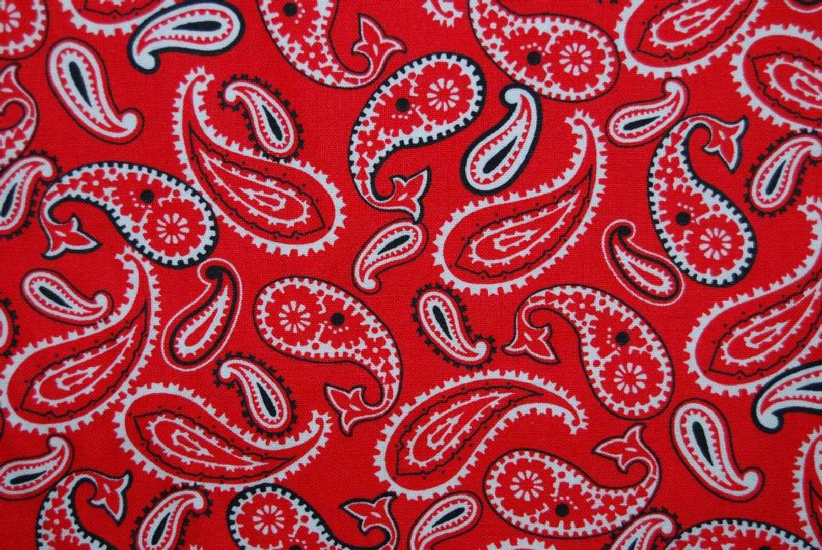 Red Bandana Wallpapers.jpg