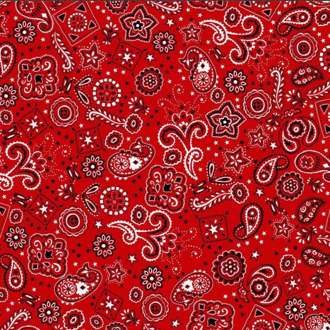 Red Bandana Pictures.jpg