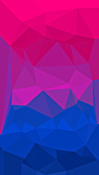 Bi Flag