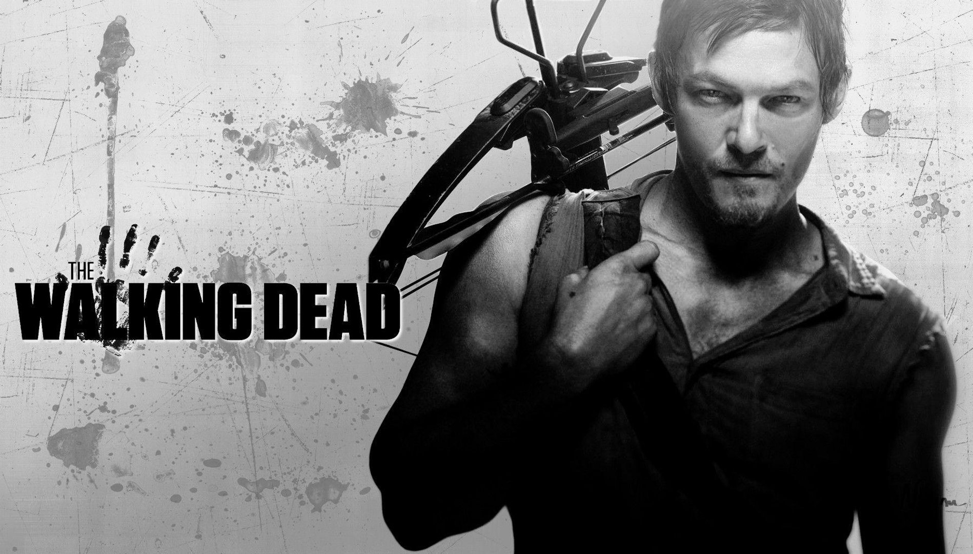 Daryl Dixon Images.jpg