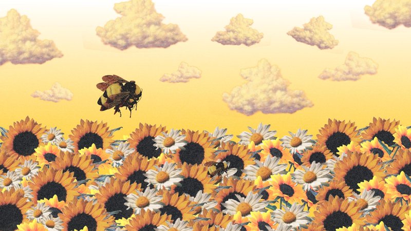 Tyler The Creator Flower
