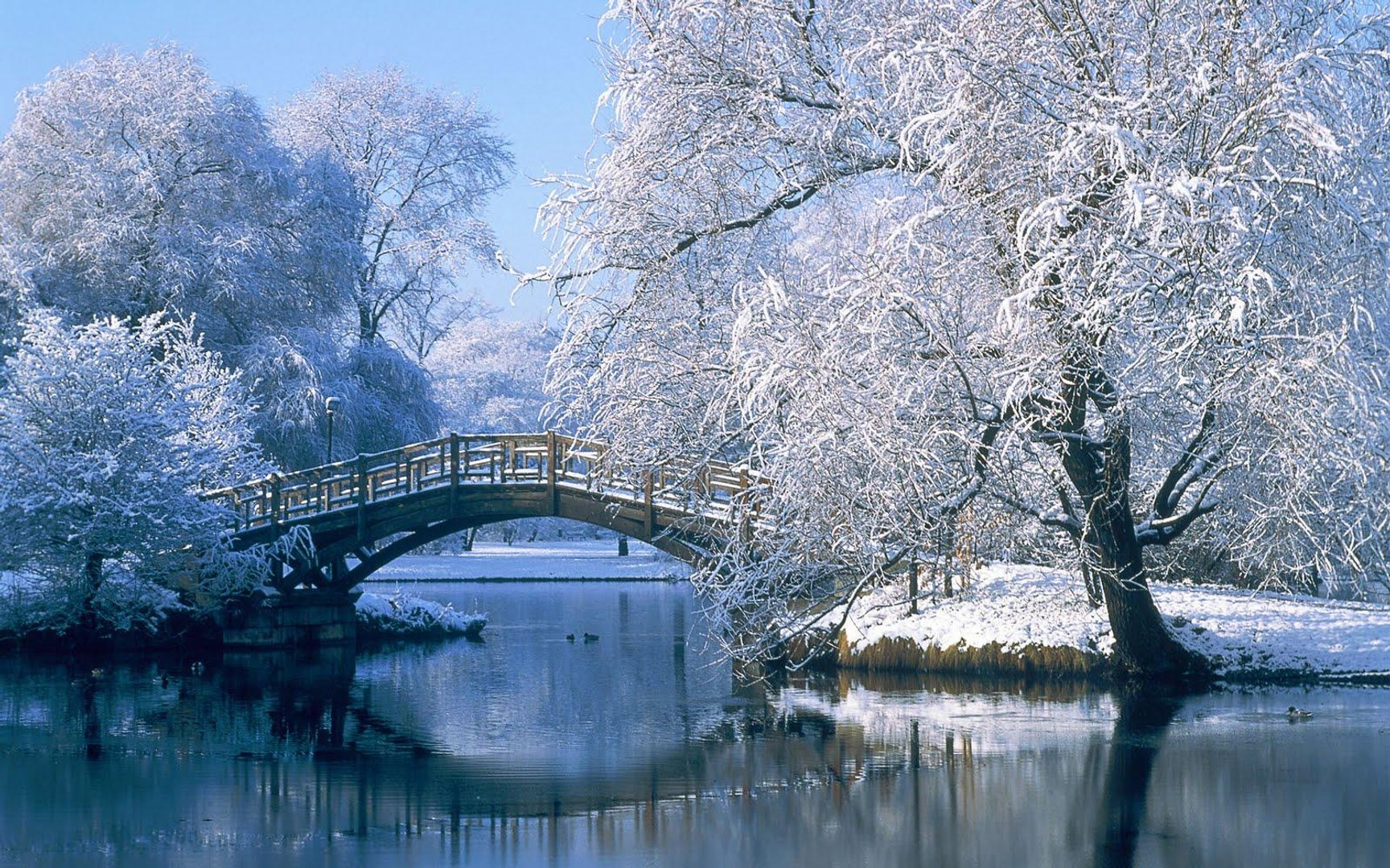 Winter Wonderland Desktop Pictures.jpg