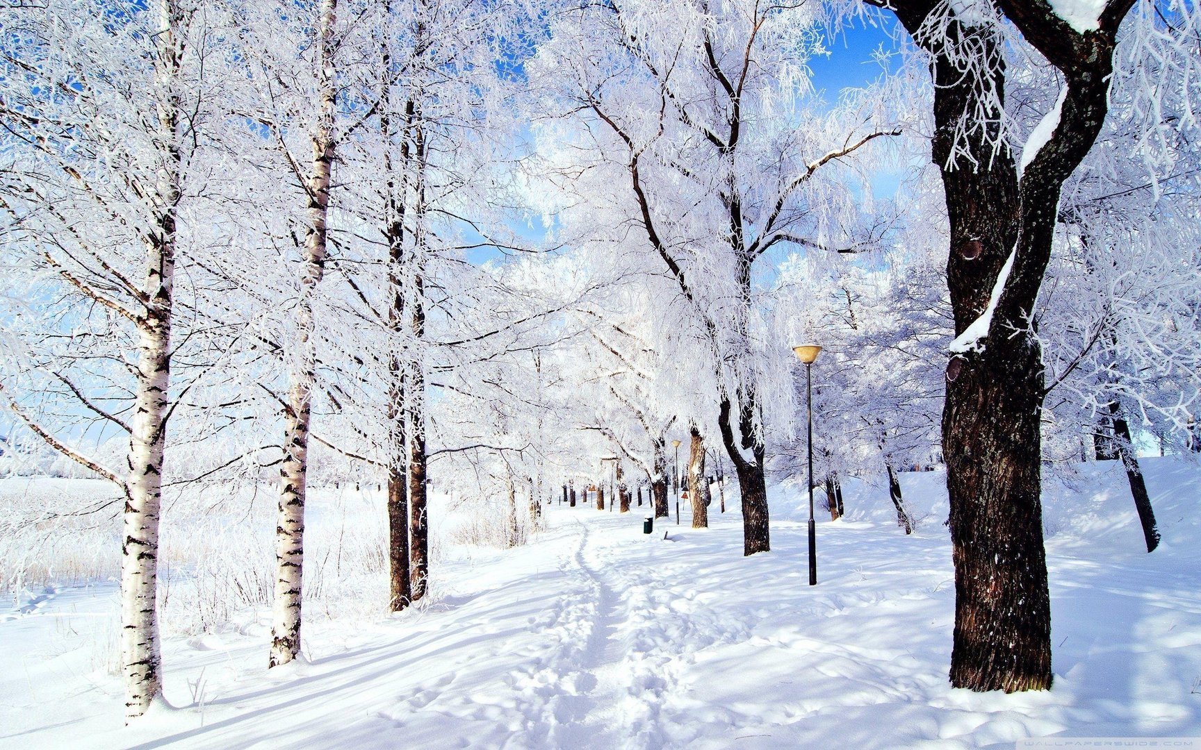 Winter Wonderland Desktop Wallpaper.jpg