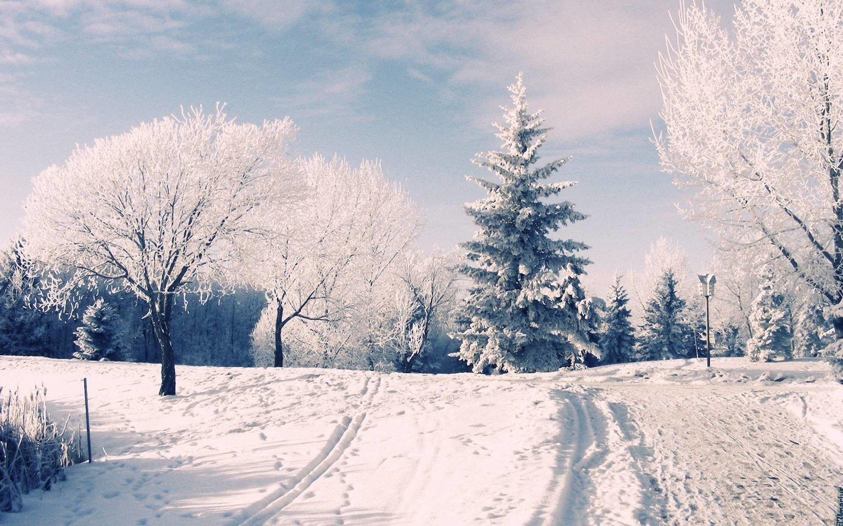 Winter Wonderland Desktop Background.jpg