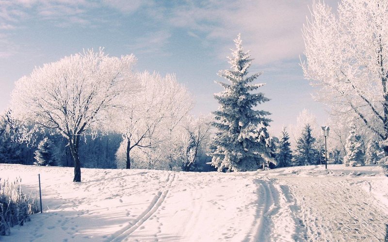 Winter Wonderland Desktop